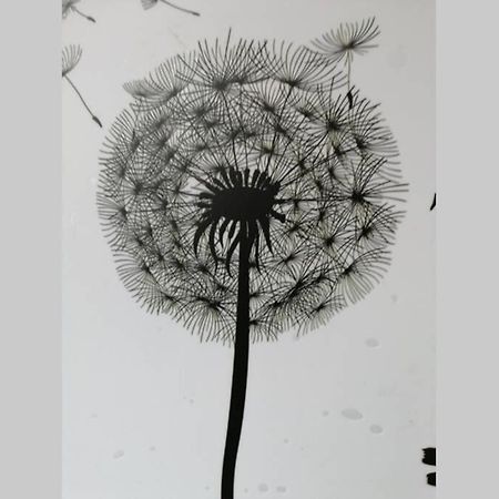 Ferienwohnung Pusteblume Mueddersheim Vettweiss Kültér fotó