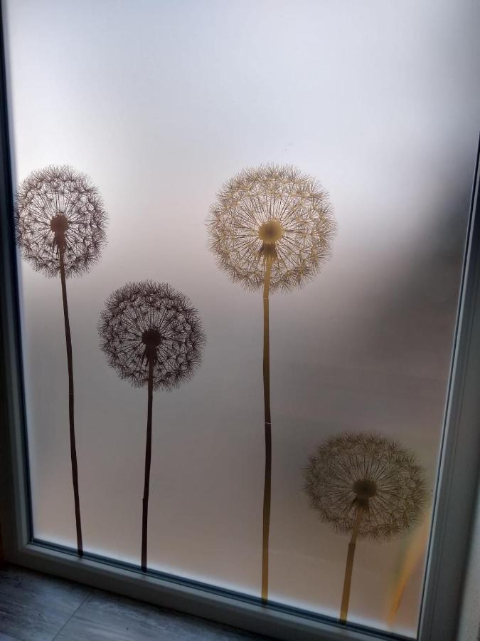 Ferienwohnung Pusteblume Mueddersheim Vettweiss Kültér fotó